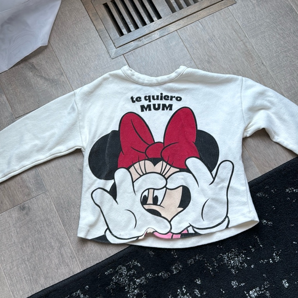 Zara sweater